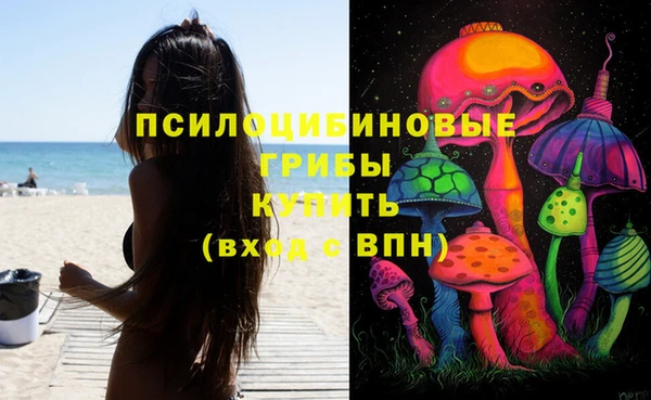 дживик Алзамай
