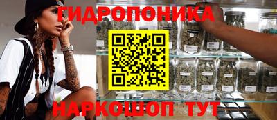 гашик Абакан