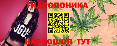 гашик Абакан