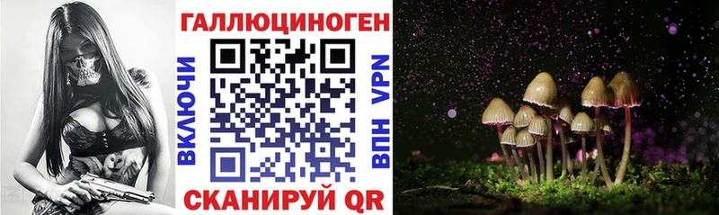 Псилоцибиновые грибы Cubensis  где купить наркоту  Амурск 