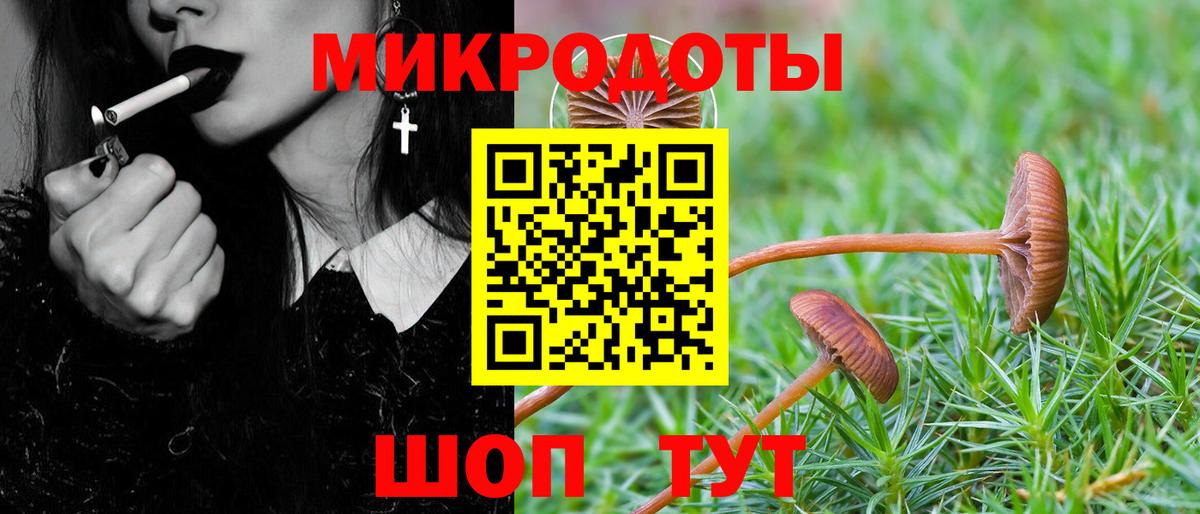 Галлюциногенные грибы мицелий  Псилоцибиновые грибы GOLDEN TEACHER  Вход с VPN  Амурск 